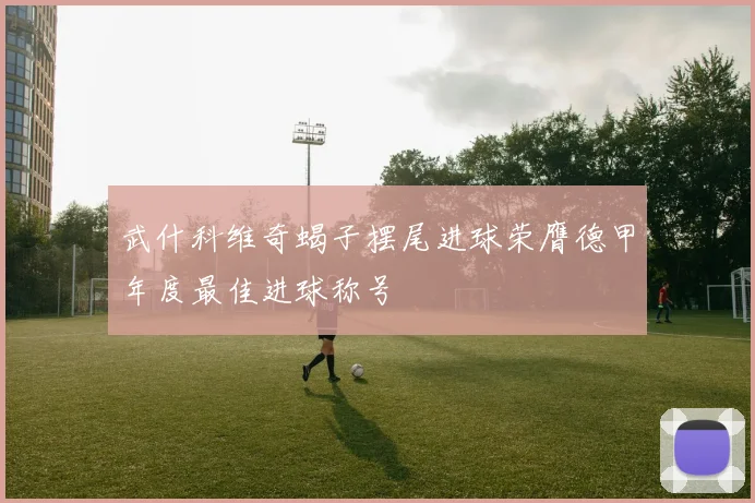 武什科维奇蝎子摆尾进球荣膺德甲年度最佳进球称号